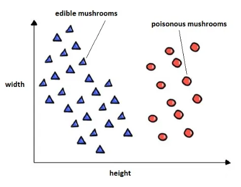Distribuzione funghi
